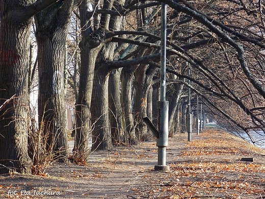 Warszawa. Aleja J. Kusociskiego.