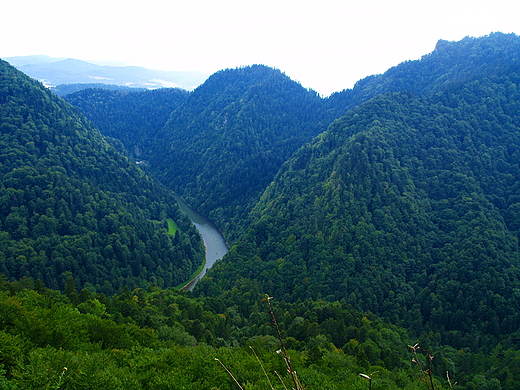 Pieniny. Widok na przeom Dunajca z Sokolicy ( 747 m n.p.m.)