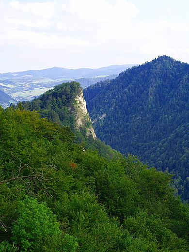 Pieniny. Sokolica (747 m n.p.m.)