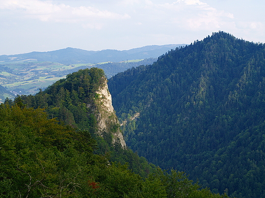 Pieniny. Sokolica