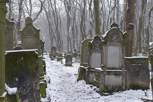 Cmentarz ydowski na Okopowej w zimowej szacie