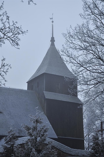 Modrzewiowy koci w Wieliczkach