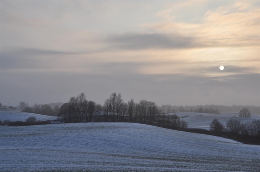 Styczniowe soce nad polami