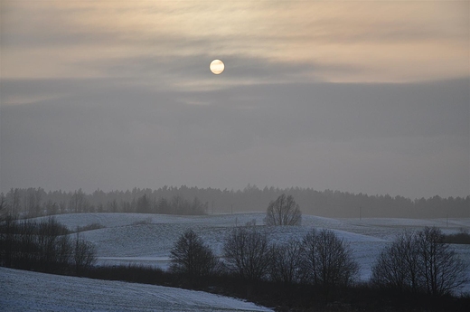 Styczniowe soce nad polami