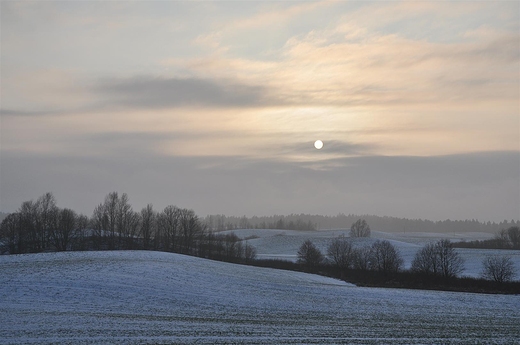 Styczniowe soce nad polami