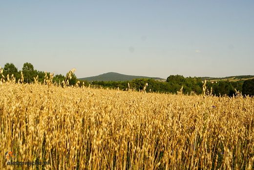 widok na ysic od strony Wilkowa