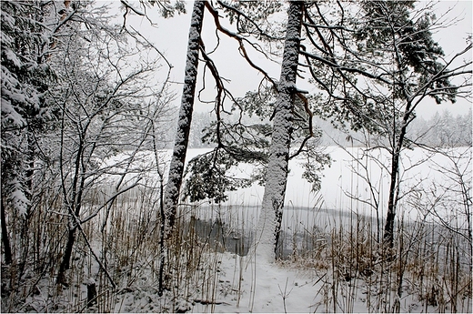 Zima na Suwalszczynie - nad Jeziorem Czarnym.