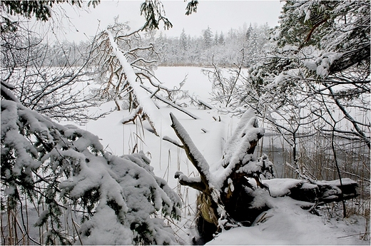 Zima na Suwalszczynie - nad Jeziorem Czarnym.II