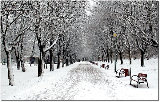 Warszawa. Park Szczliwicki zim.