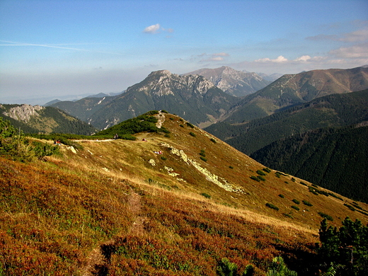 Widok z Grzesia