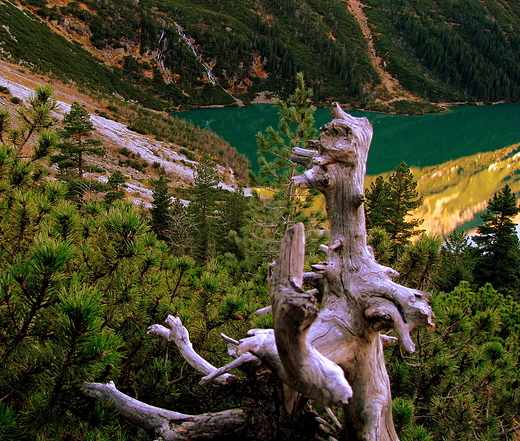 Morskie Oko