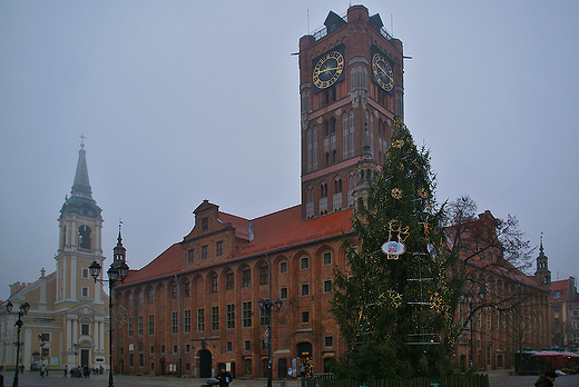 Toru - expresowe zwiedzanie.