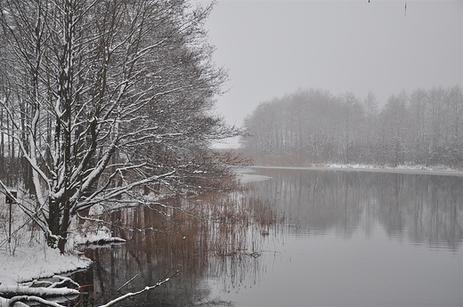 Widok z mostku