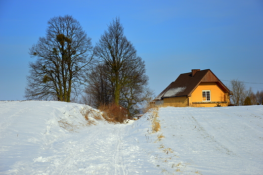 Zima w Czarnocinie