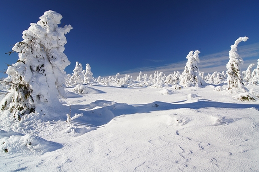 Zima w Karkonoszach