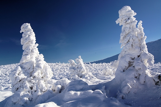 Zima w Karkonoszach