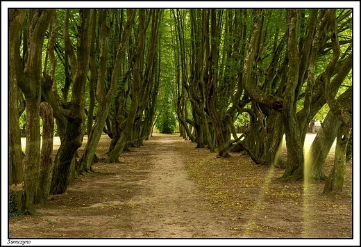 Siemczyno - barokowy paac Rodu von Bredow _ fragment zaoenia paacowego