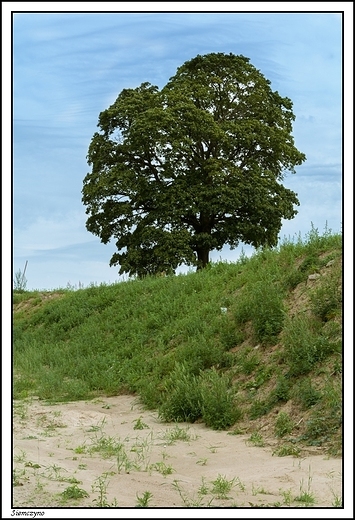 Siemczyno - barokowy paac Rodu von Bredow _ samotny na placu boju...