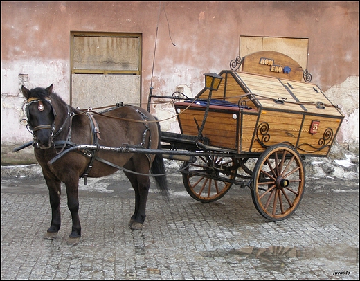 Ekologiczny transport. Lublin