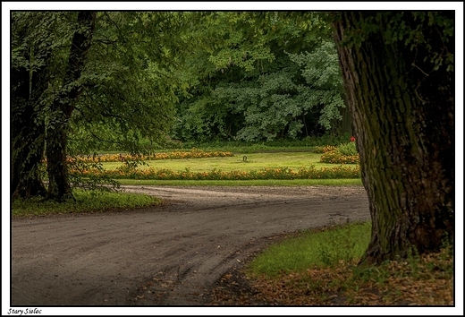 Stary Sielec - dwr z poowy XIXw. _ park w otoczeniu dworu