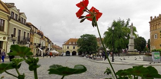 Rynek