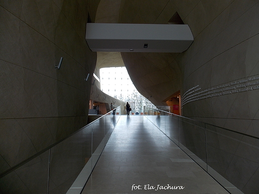 Warszawa. Muzeum Historii ydw Polskich. Wntrze z poziomu 0.