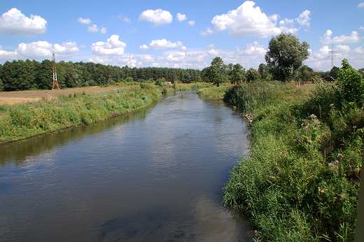 Kdzierzyn-Kole - Rzeka Kodnica