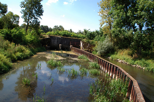 Kdzierzyn-Kole -  Syfon na rzece Kodnica