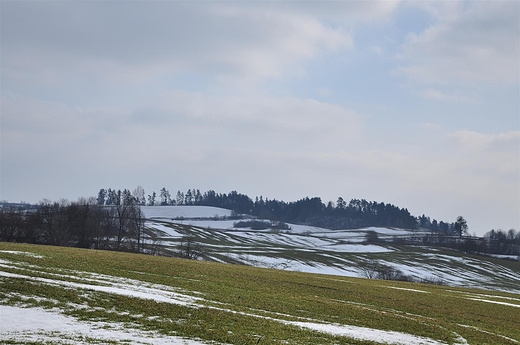 Przedwionie na godapskich polach