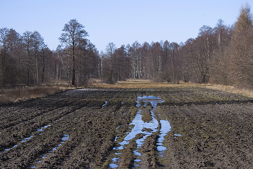 Puszcza Kampinoska, Janwek