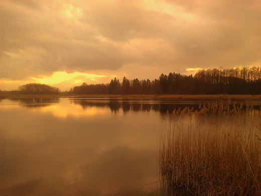 marcowo nad zamojskim zalewem