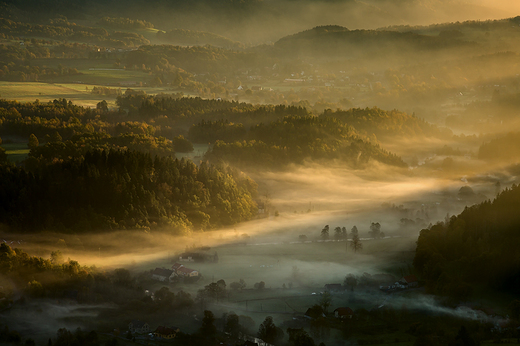 Misty Autumn Valley