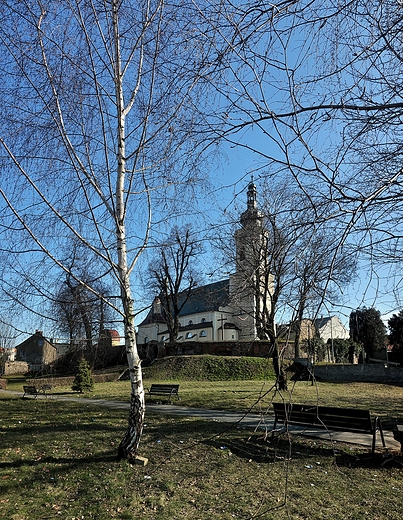 Kietrz - kocielniak - widok na koci w. Tomasza