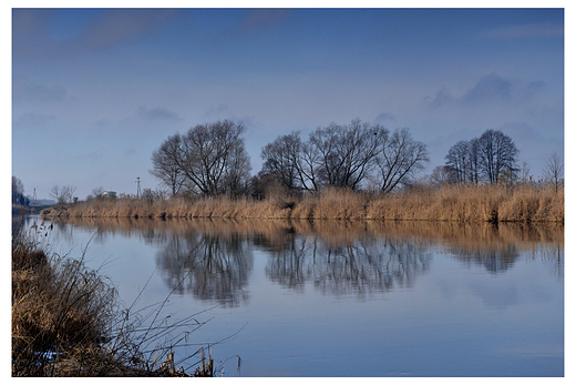 Narew