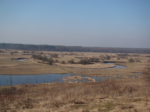 Widok z Sowiej Gry