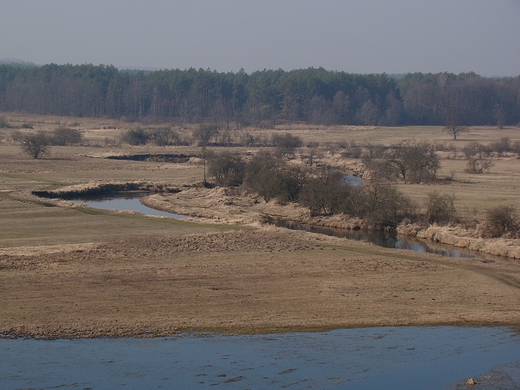 Widok z Sowiej Gry