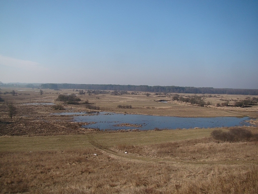 Widok z Sowiej Gry