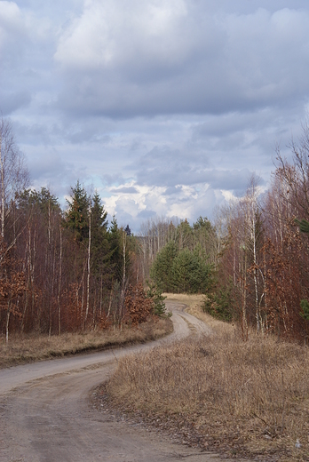 przedwionie na Kaszubach :