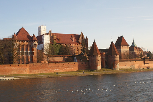 zamek krzyacki nad Nogatem w Malborku