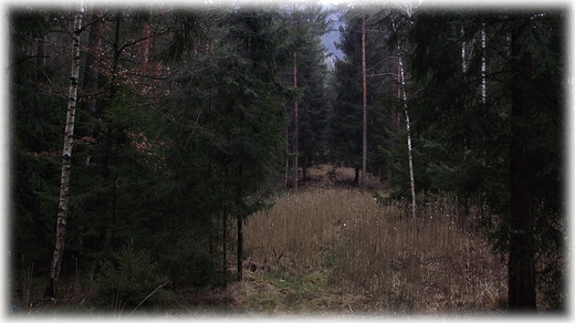 Wiosna w Sulistrowiczkach