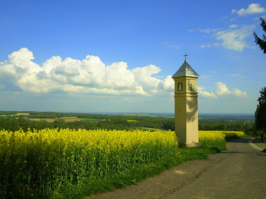 Kapliczka w. Franciszka na boniach