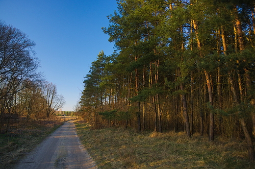 Nadwarciaski szlak rowerowy