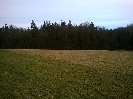 WIDOK NA LAS .. Z DZISIEJSZEGO SPACERU