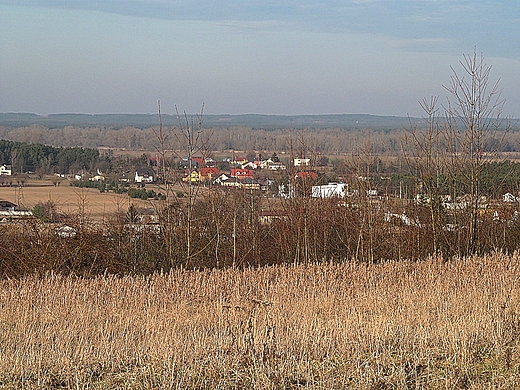 Panorama Nieszawy