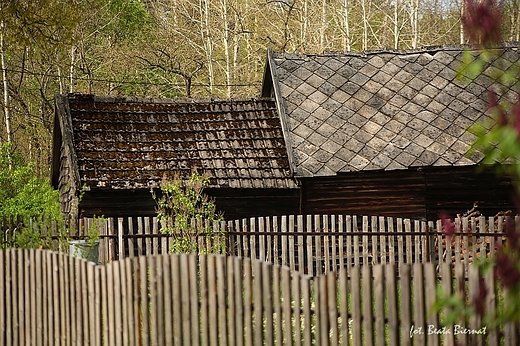 Kasparus na Kociewiu