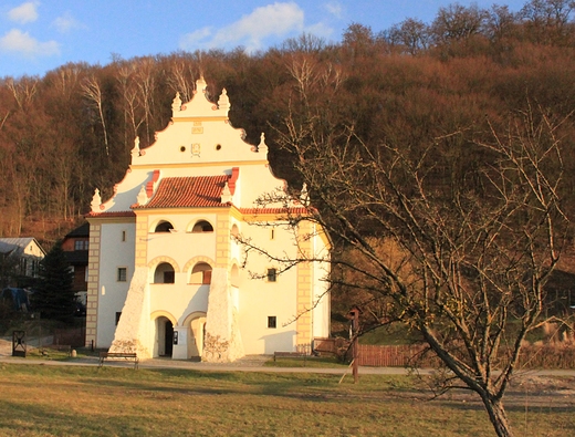 Muzeum Przyrodnicze