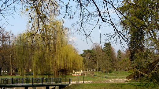 wiosna w parku...