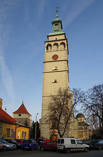 Wieża katedry w Żywcu.