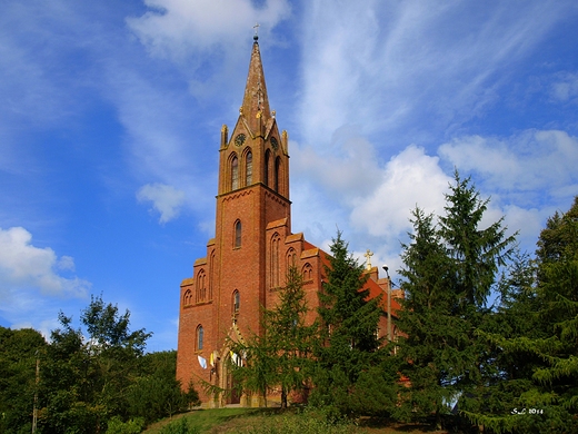 Koci w Lubiniu