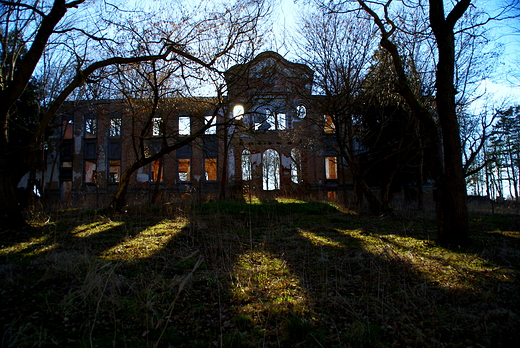 Ruiny paacu w Strzepowie